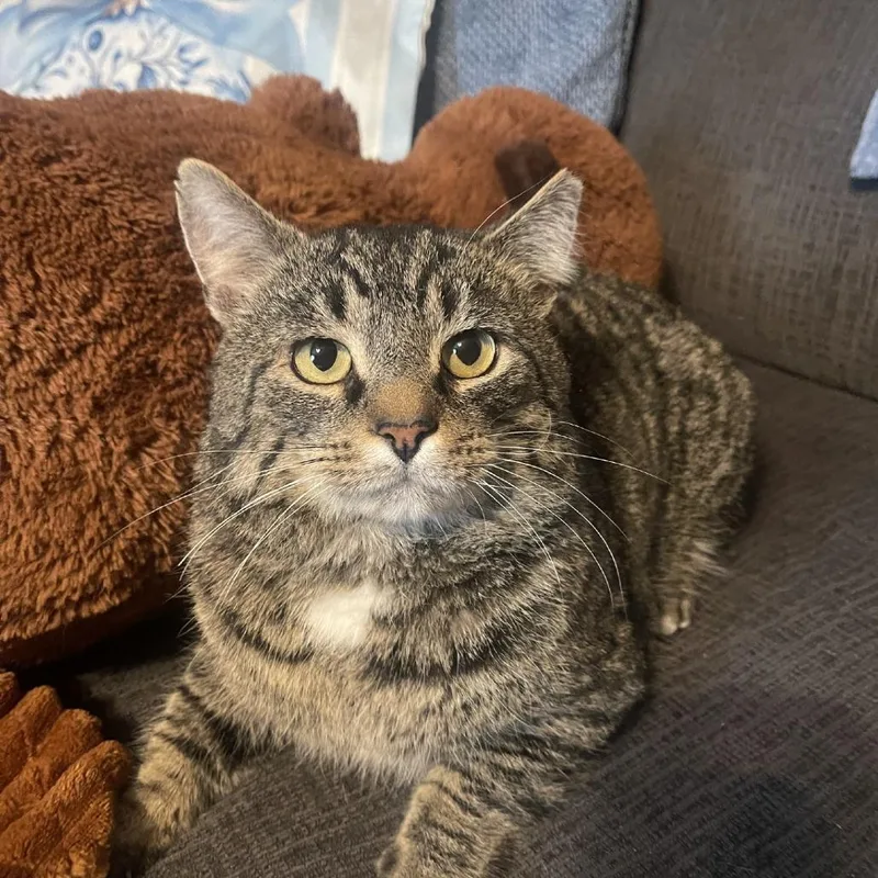 Pretty Boy thumbnail 3