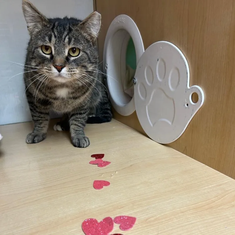 Pretty Boy thumbnail 5