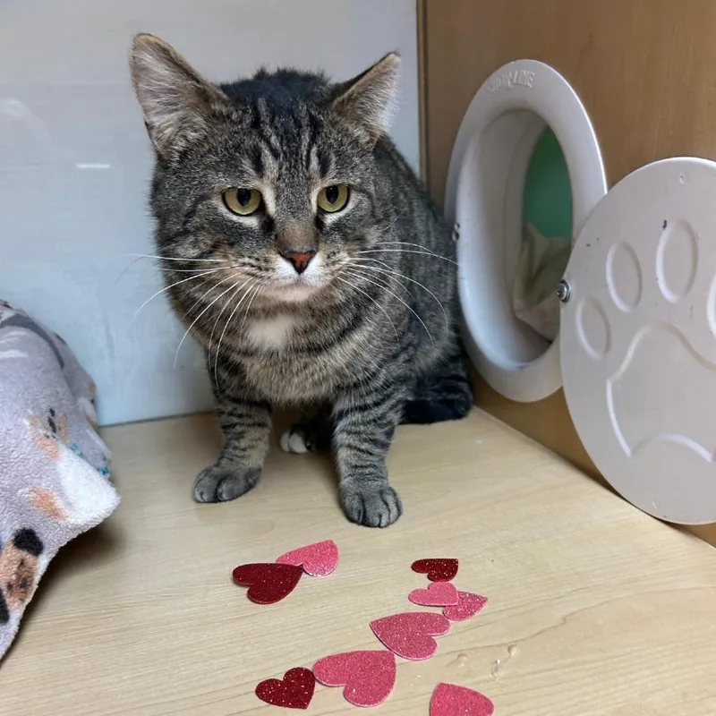 Pretty Boy thumbnail 6