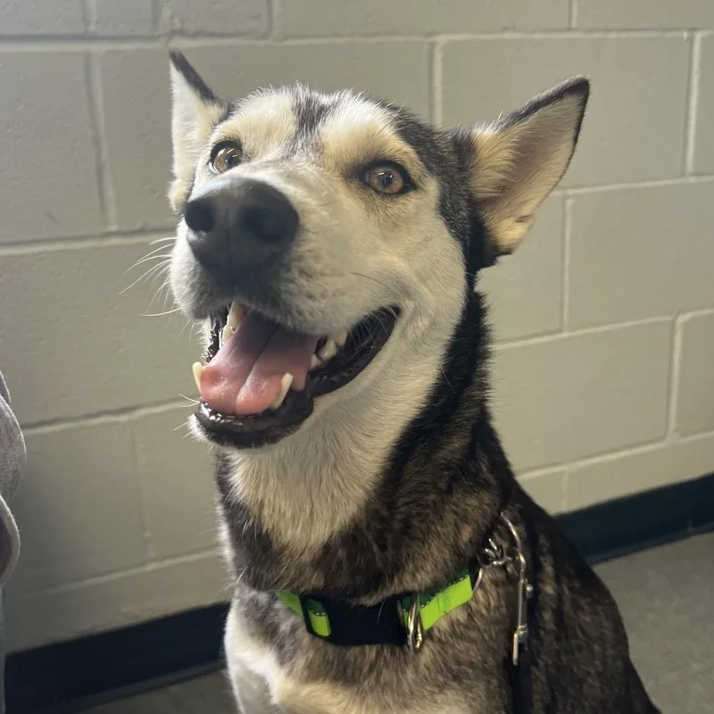 Queen Arianna thumbnail 2