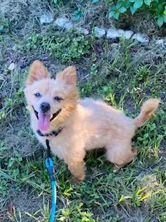 Tucker