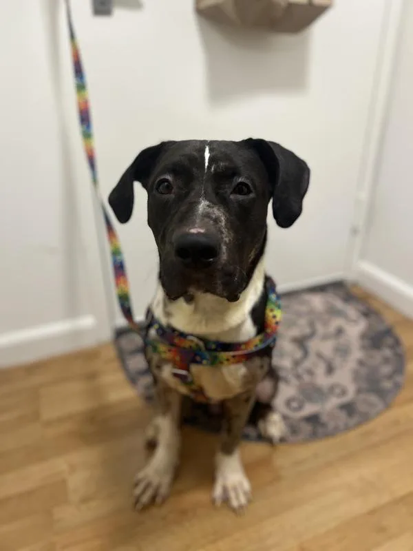 One Bunzy thumbnail 4