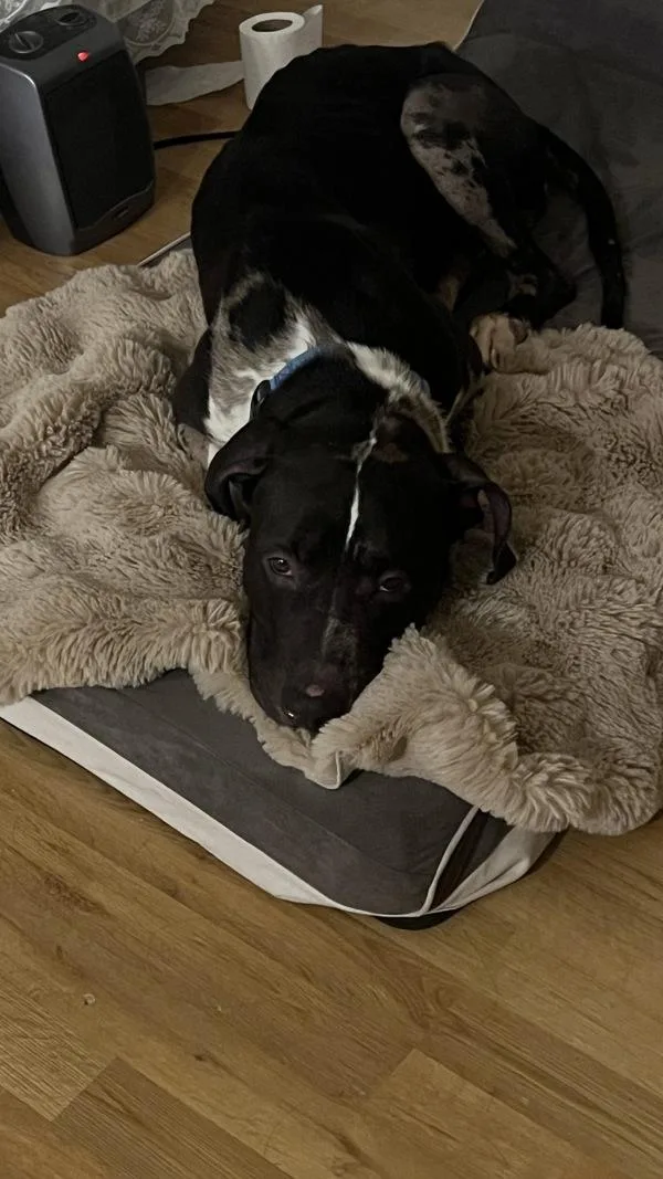 One Bunzy thumbnail 5