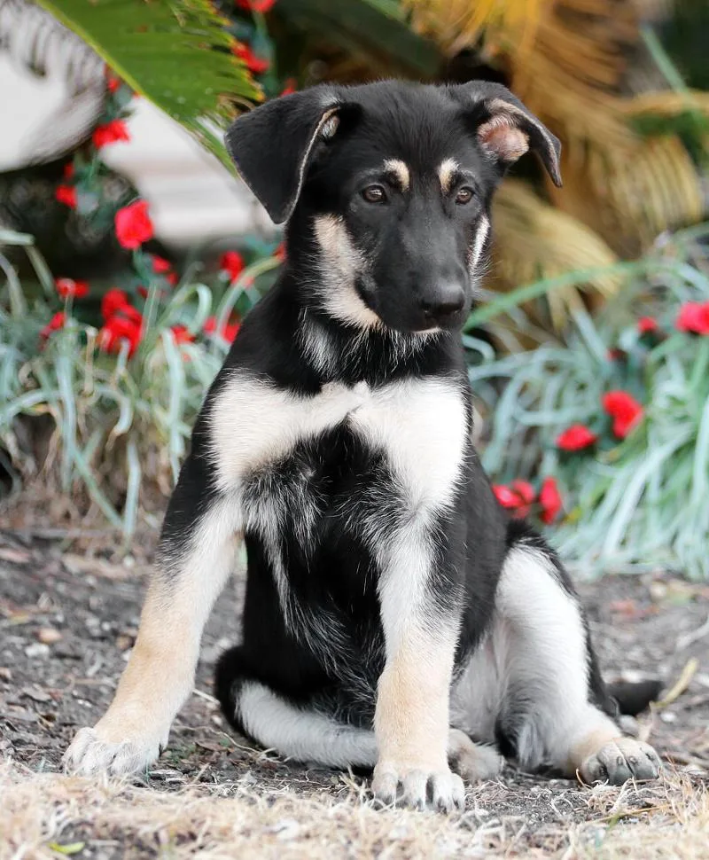 Kelsey Von Miley thumbnail 4