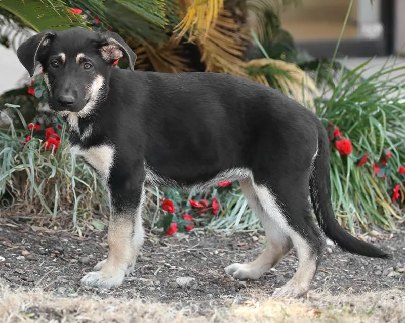 Kelsey Von Miley thumbnail 5