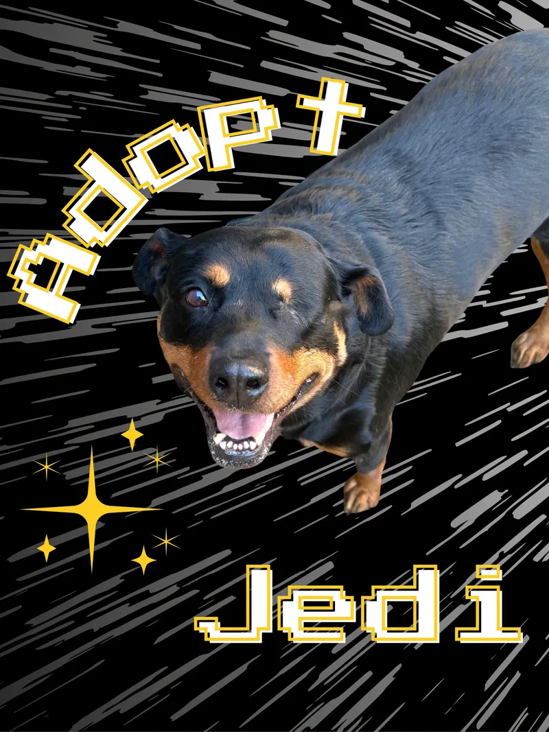 Jedi thumbnail 3
