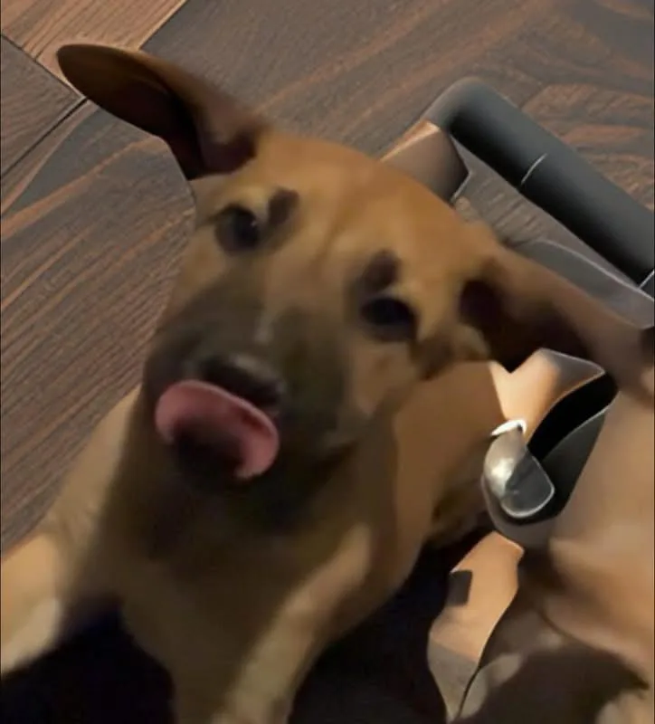 Ember thumbnail 2
