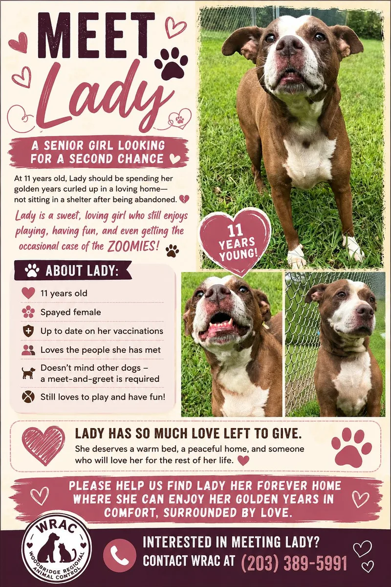 Betsy Lady thumbnail 2