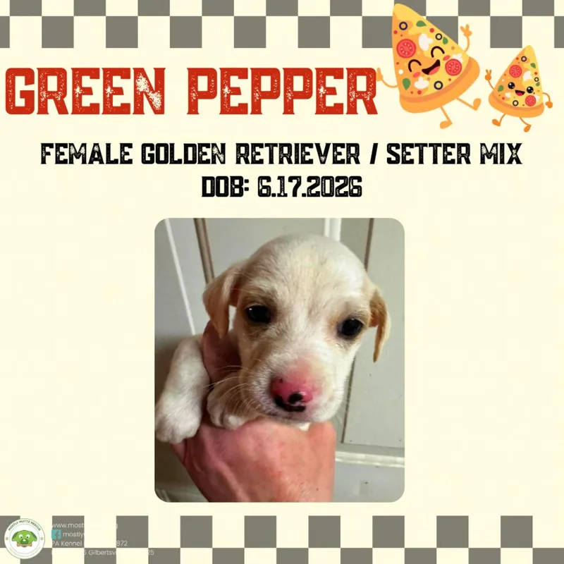 Green Pepper thumbnail 5