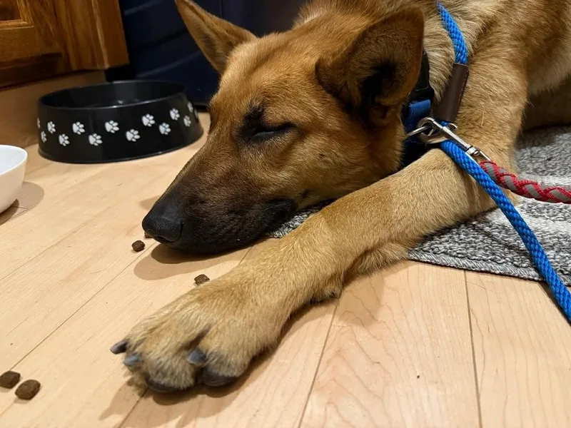 Maxxi  Located In thumbnail 2