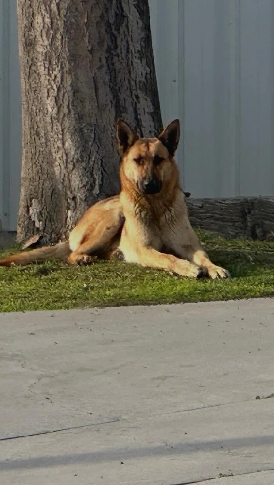 Maxxi  Located In thumbnail 3