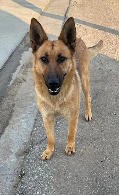 Maxxi  Located In thumbnail 4