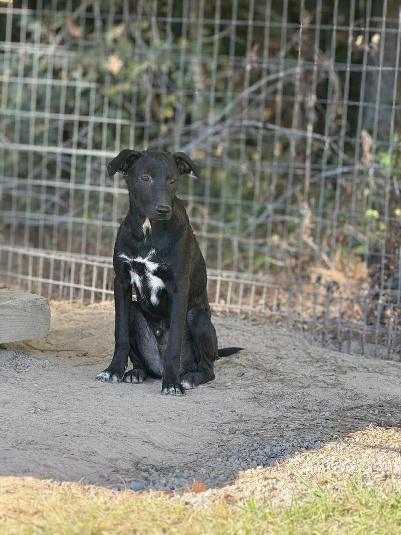 Ken Ashcraft thumbnail 2