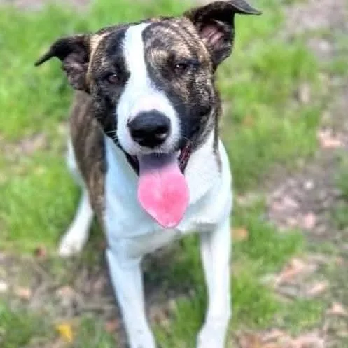 Emilio Aka Miles thumbnail 6