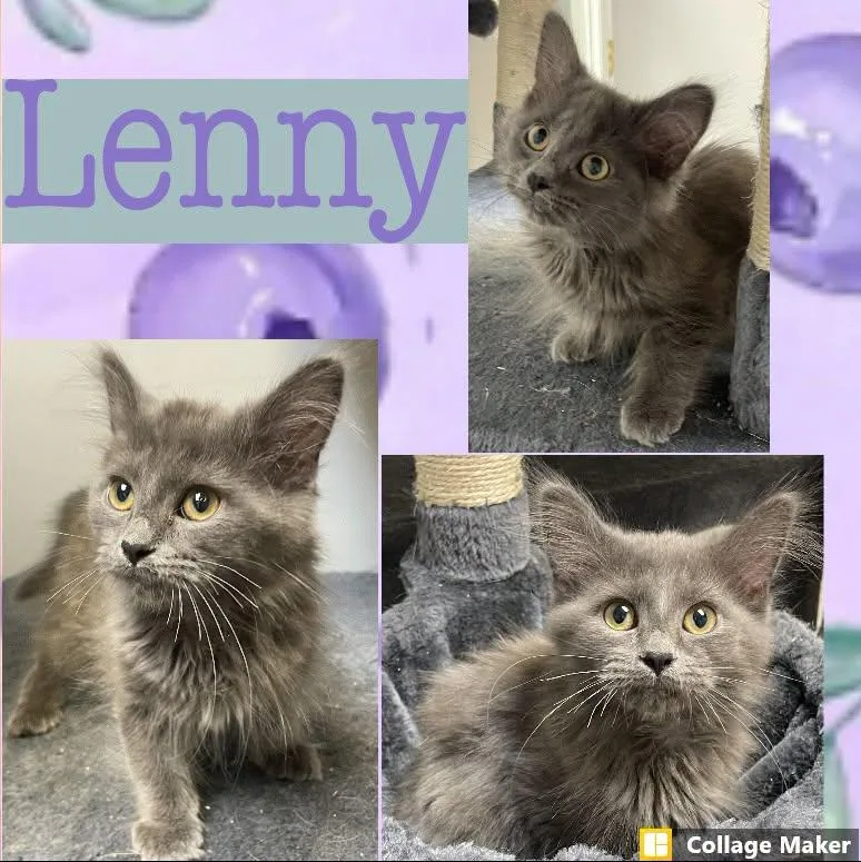 Lenny