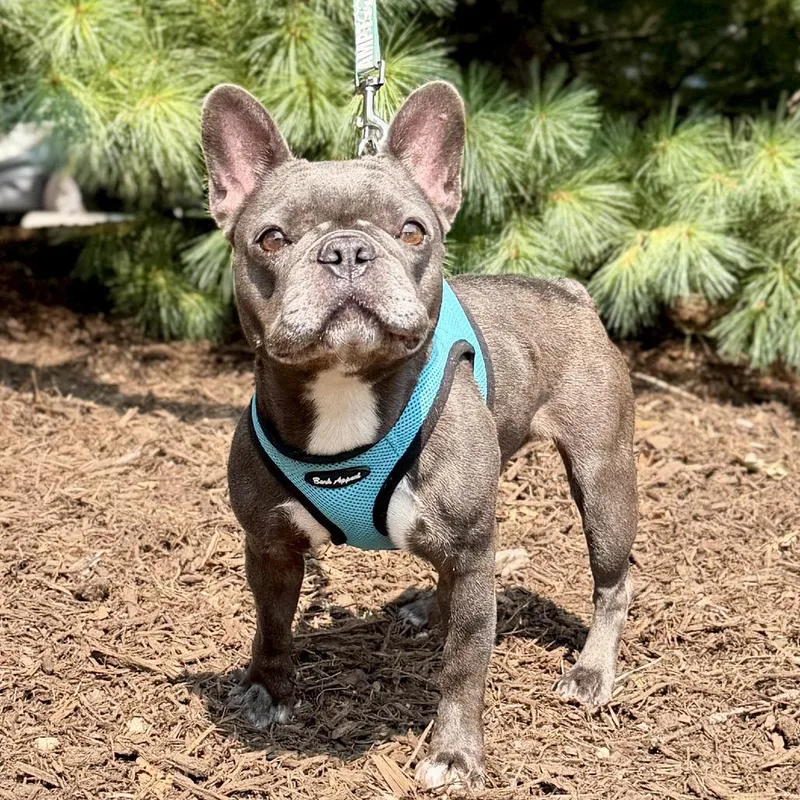 Lena
