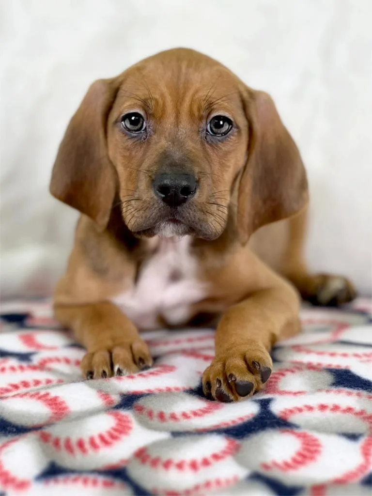 Sandlot Litter  Yeah thumbnail 2