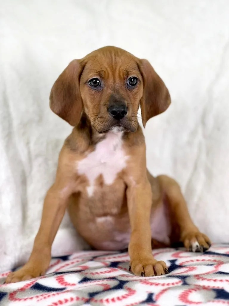 Sandlot Litter  Yeah thumbnail 3