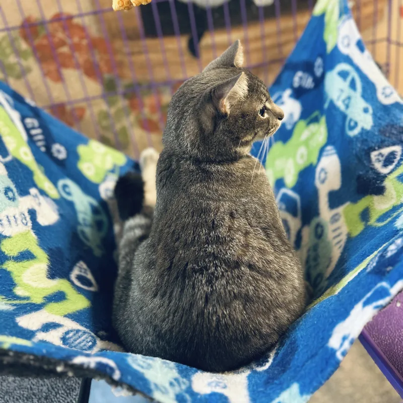 Michael C Hall thumbnail 2