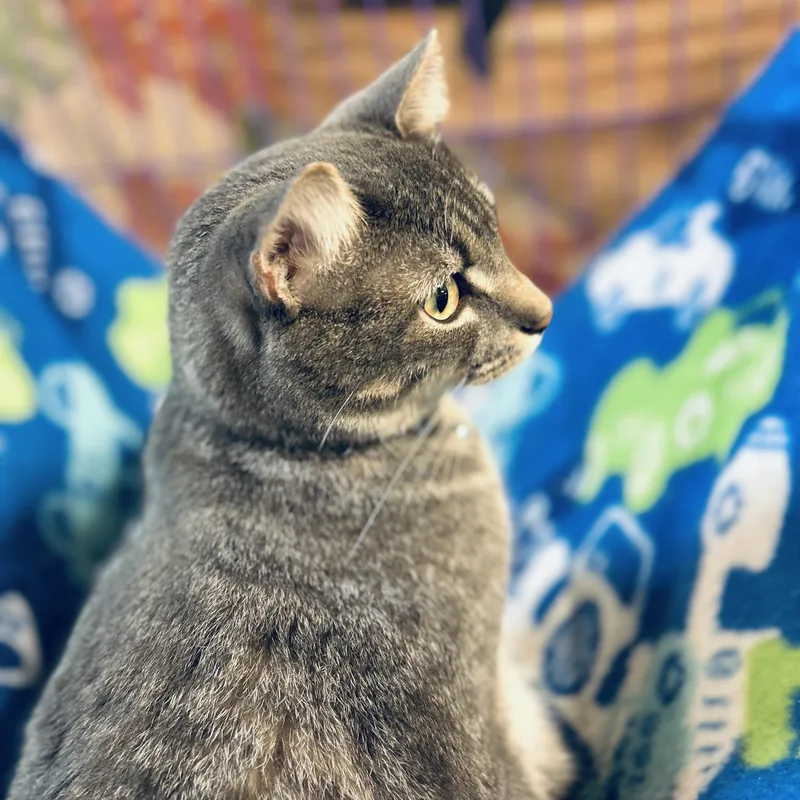 Michael C Hall thumbnail 3