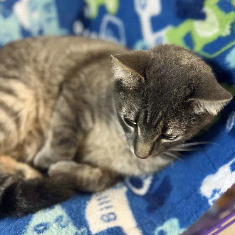 Michael C Hall thumbnail 4