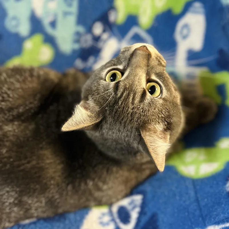 Michael C Hall thumbnail 6