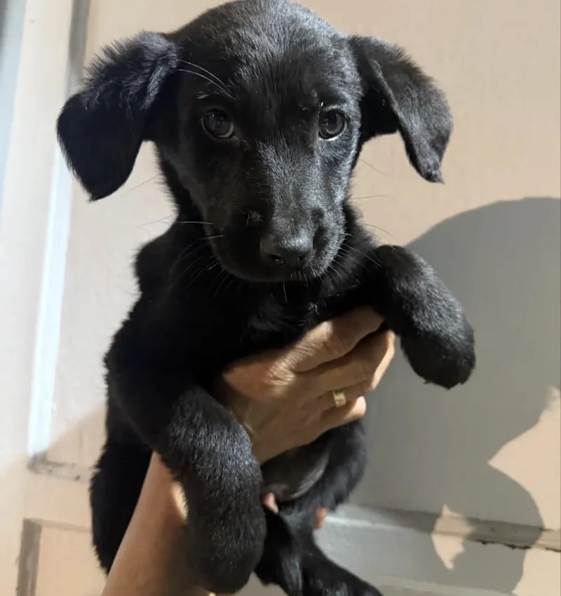 Beyoncé  Tina & thumbnail 3