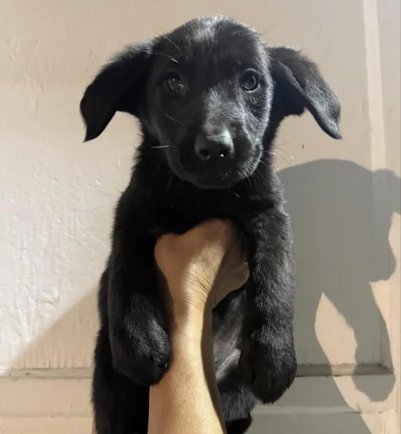 Beyoncé  Tina & thumbnail 4