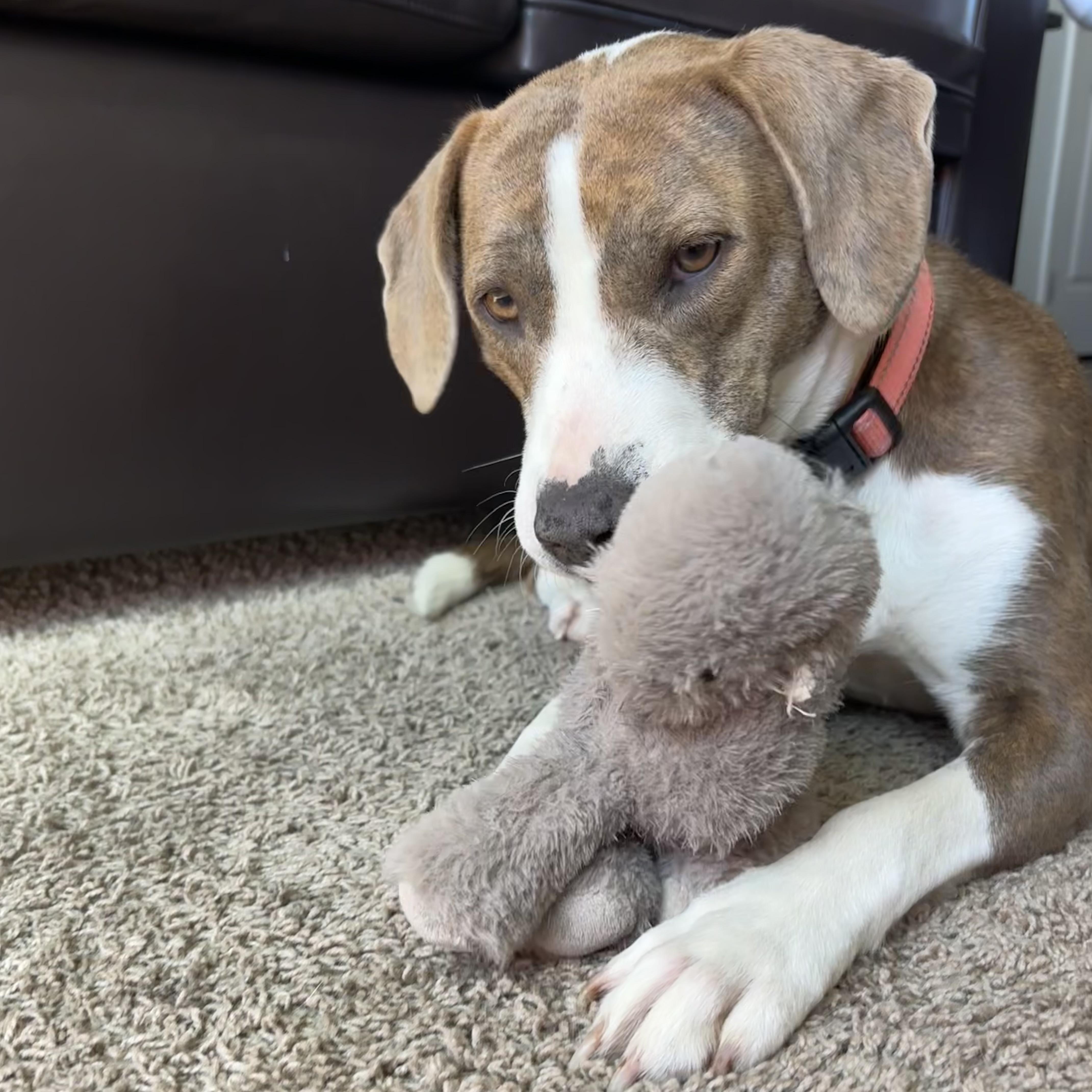 Olympic Torch thumbnail 5