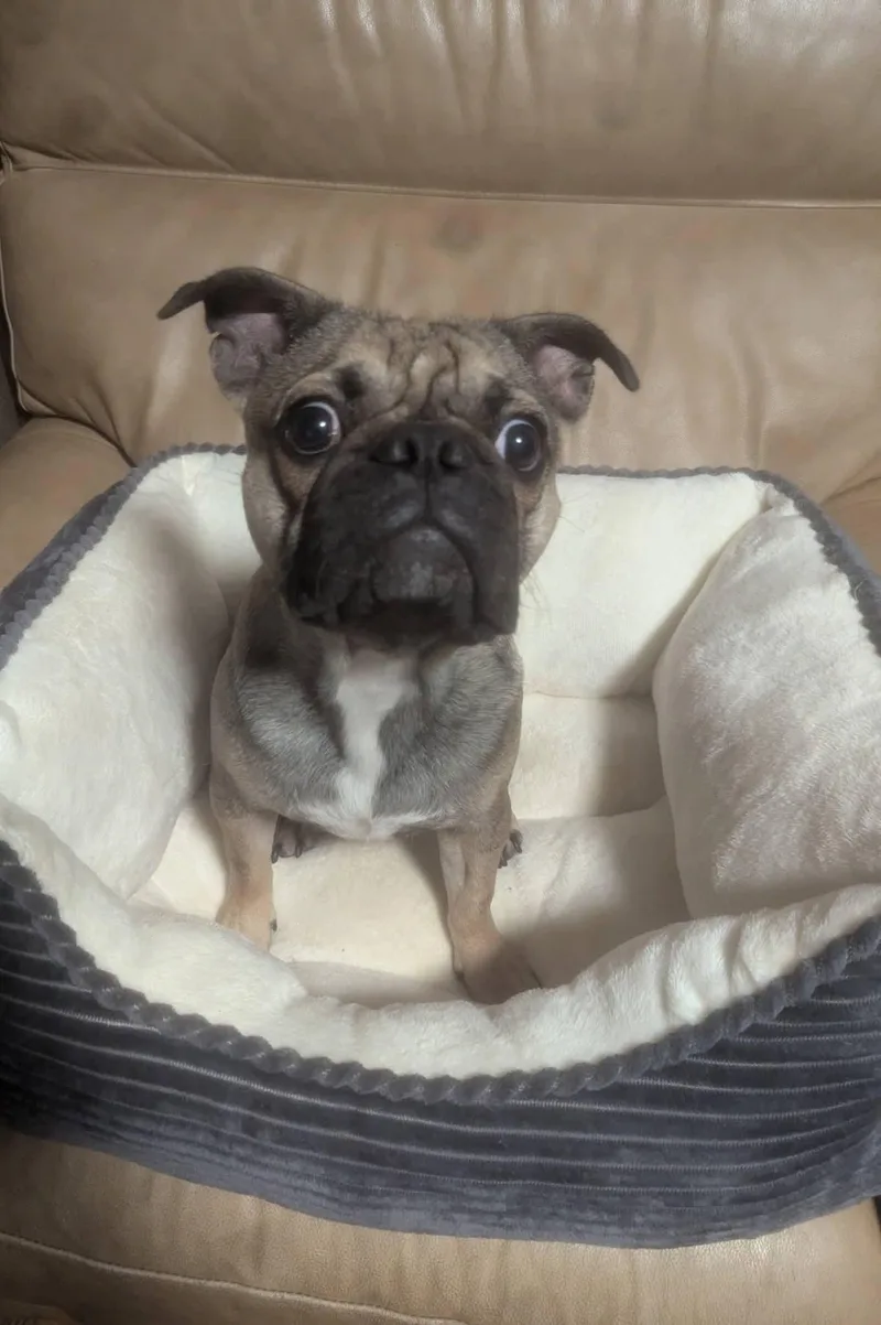 Lovely Luna thumbnail 2