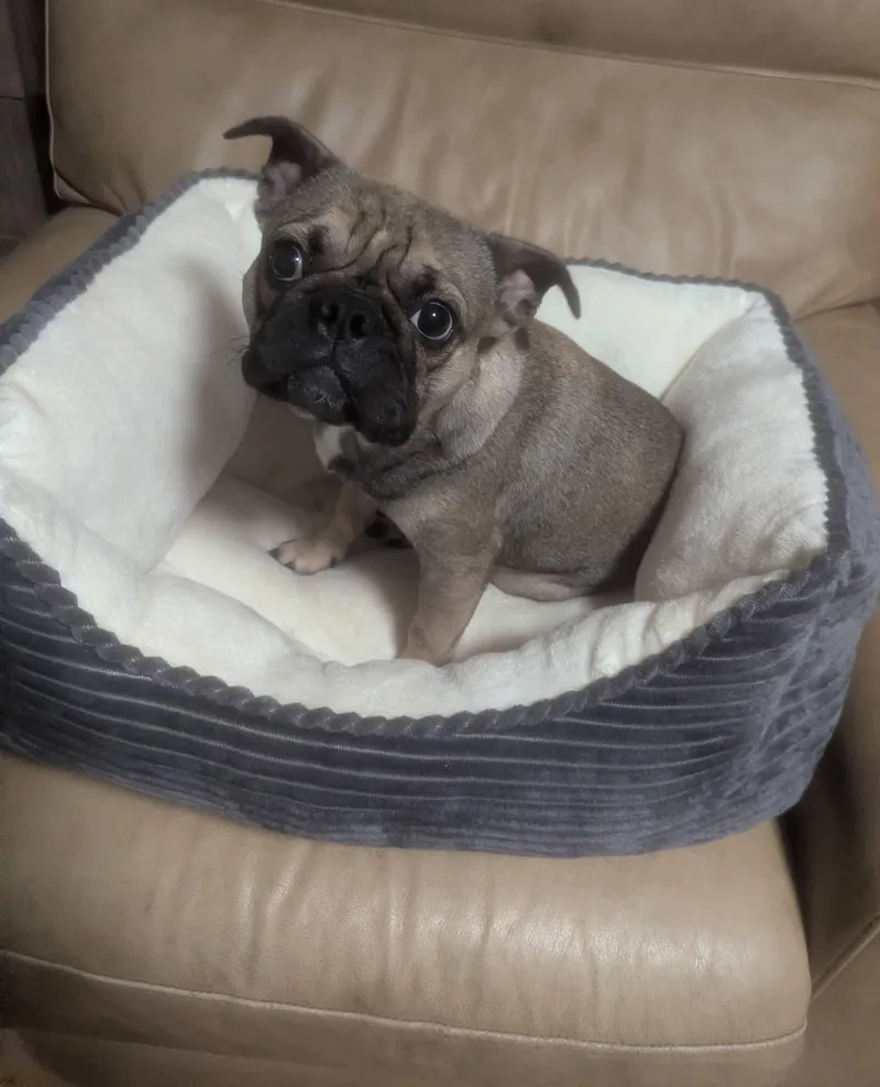 Lovely Luna thumbnail 3