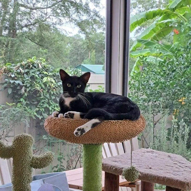 Zip =^.^= thumbnail 2