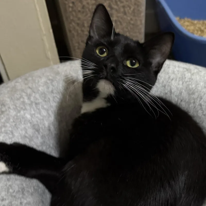 Gretchen thumbnail 4