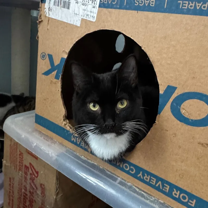 Gretchen thumbnail 5