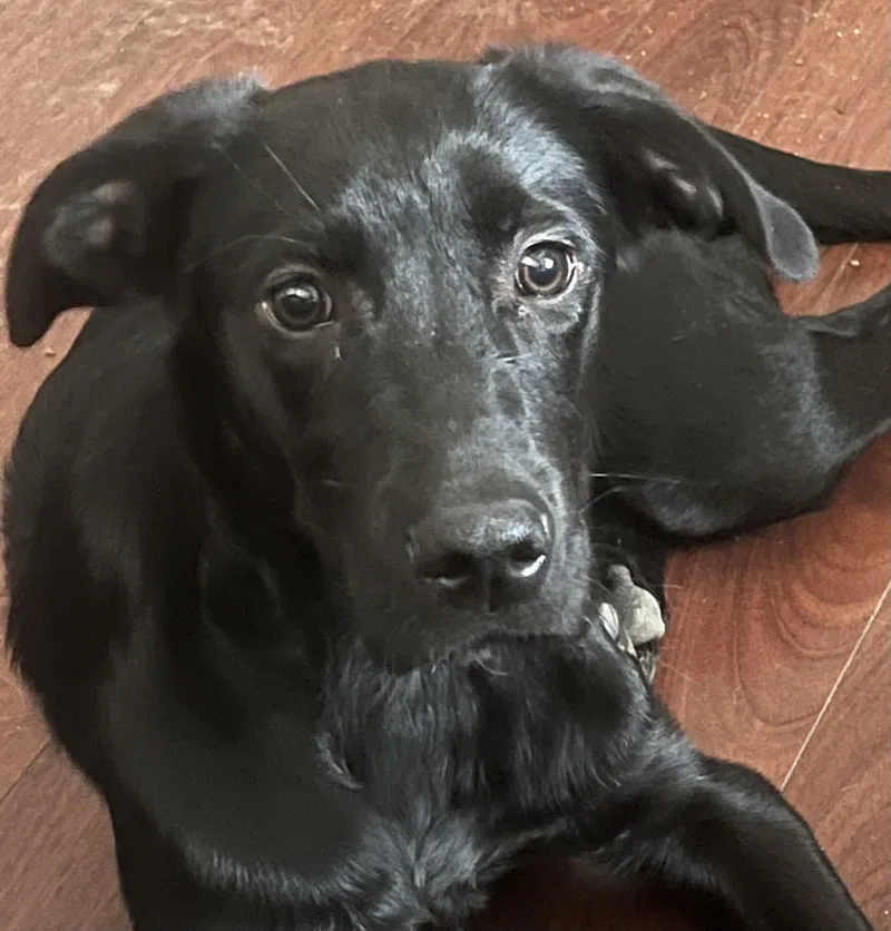 Copper