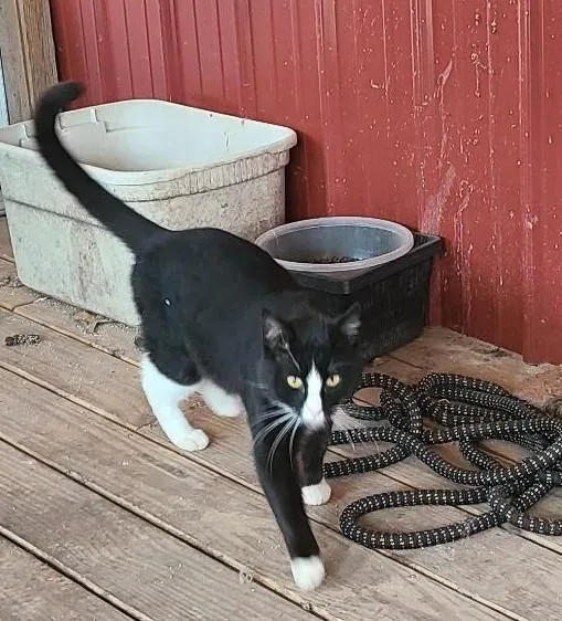 Pistachio thumbnail 4