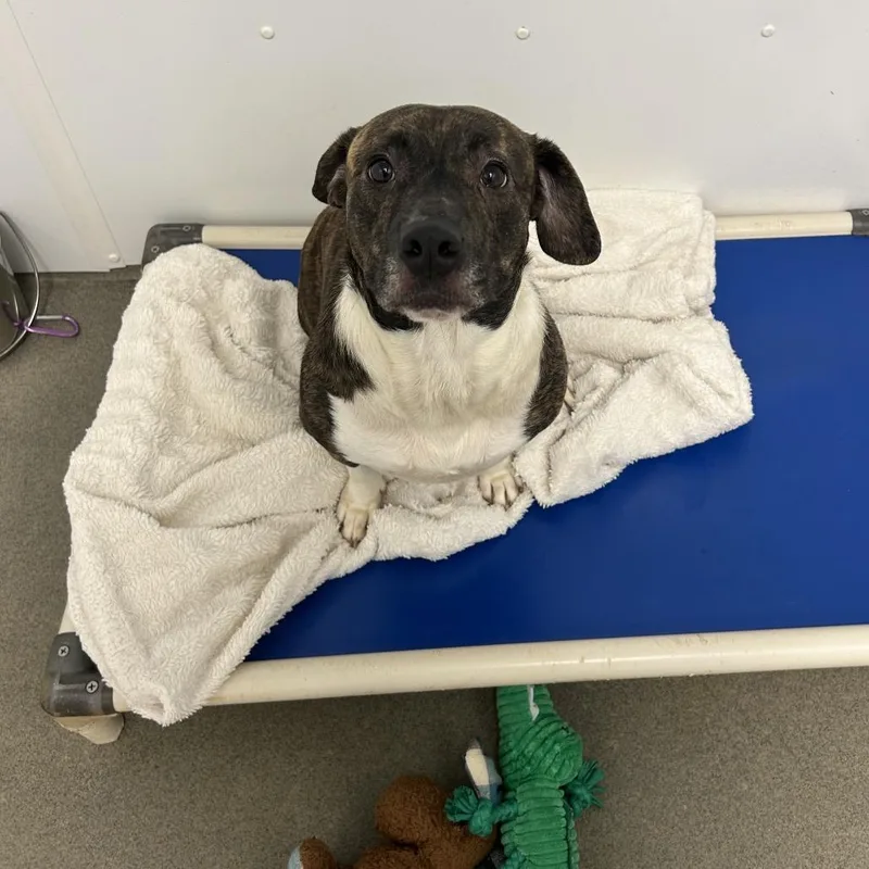 Roulette thumbnail 2