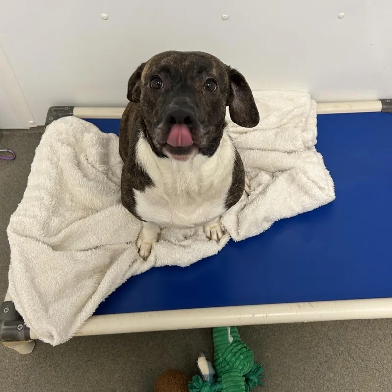 Roulette thumbnail 3