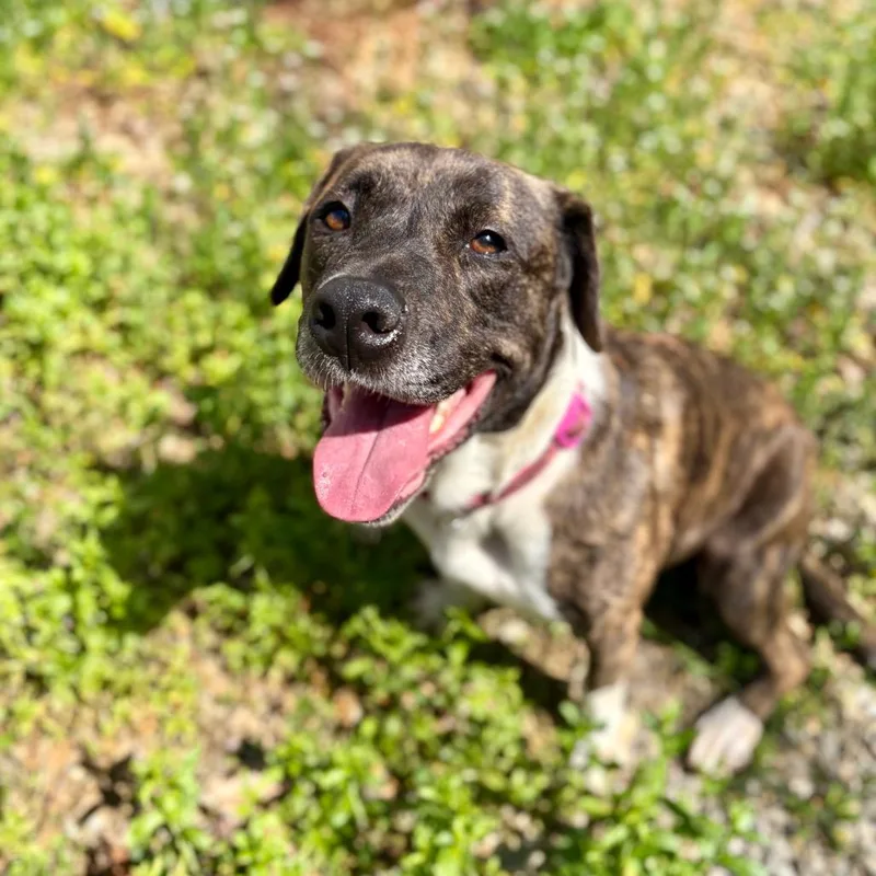 Roulette thumbnail 5