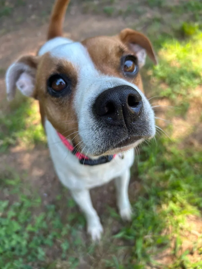 Stella May thumbnail 2