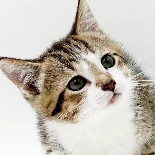 Sally is SWEET SWEET thumbnail 2
