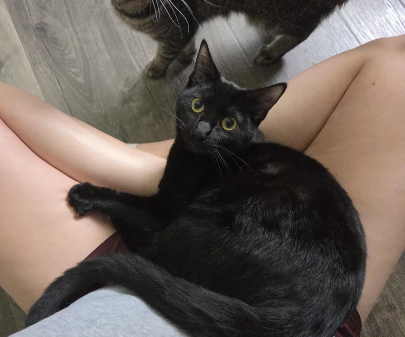 Mortianna thumbnail 2