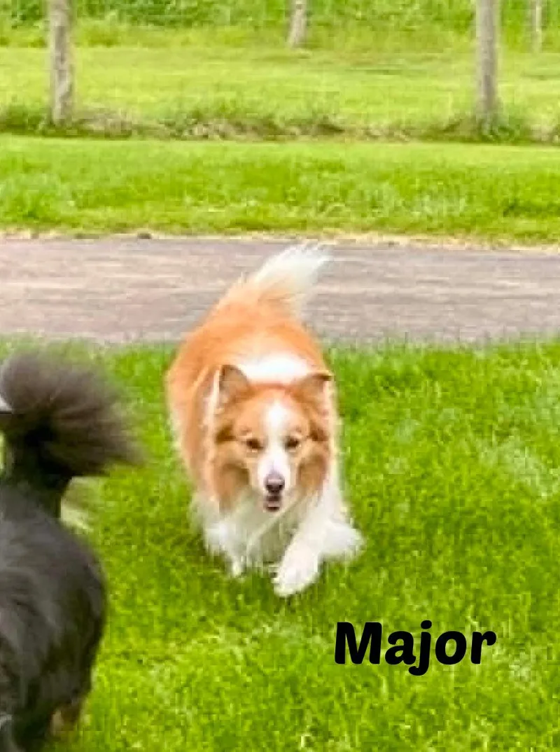 Major thumbnail 3