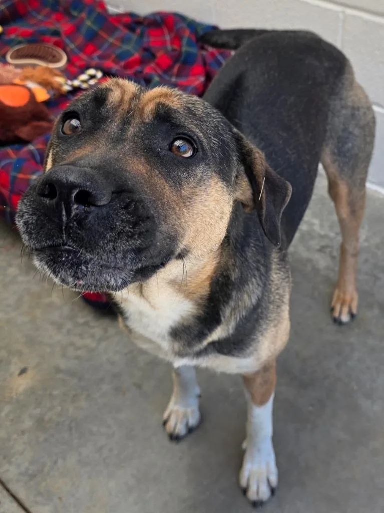 Iyla  Ac  thumbnail 2