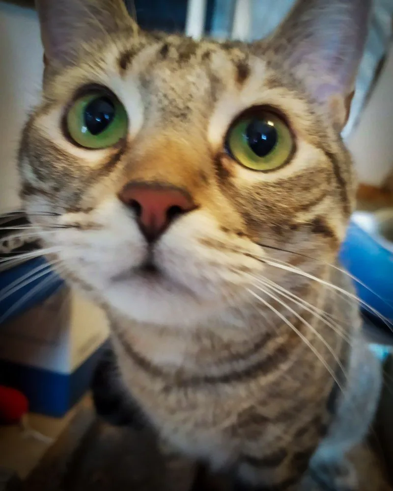 Jean Grey thumbnail 3