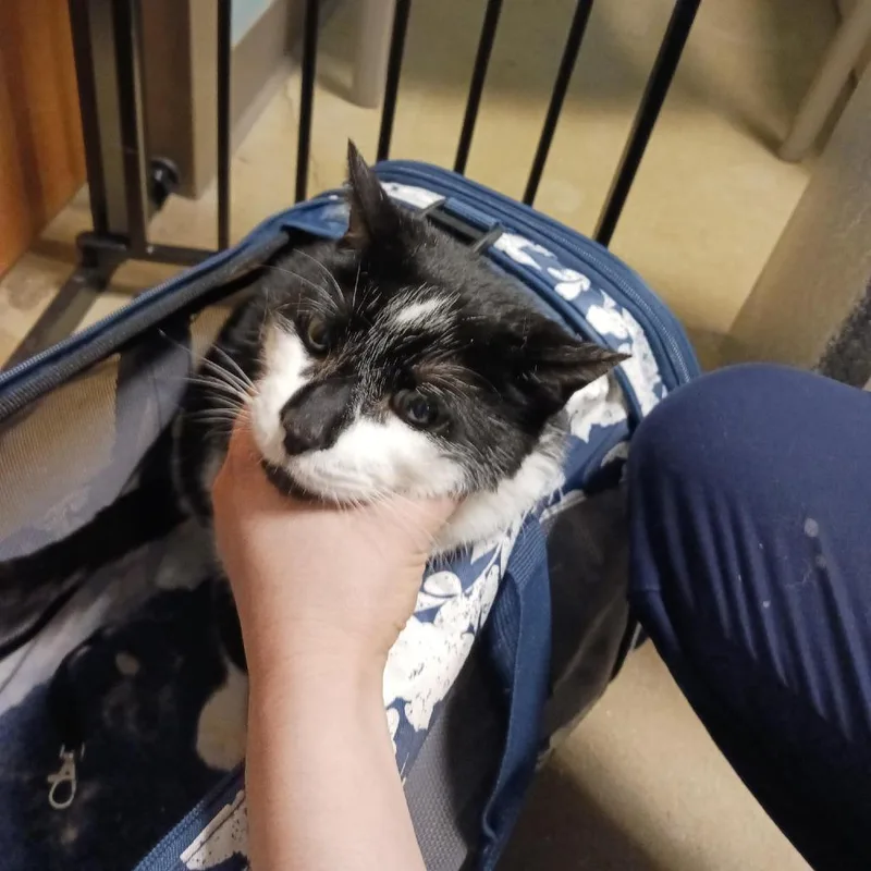 Christian thumbnail 2