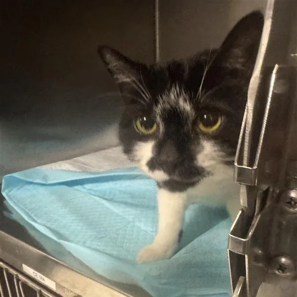 Christian thumbnail 3