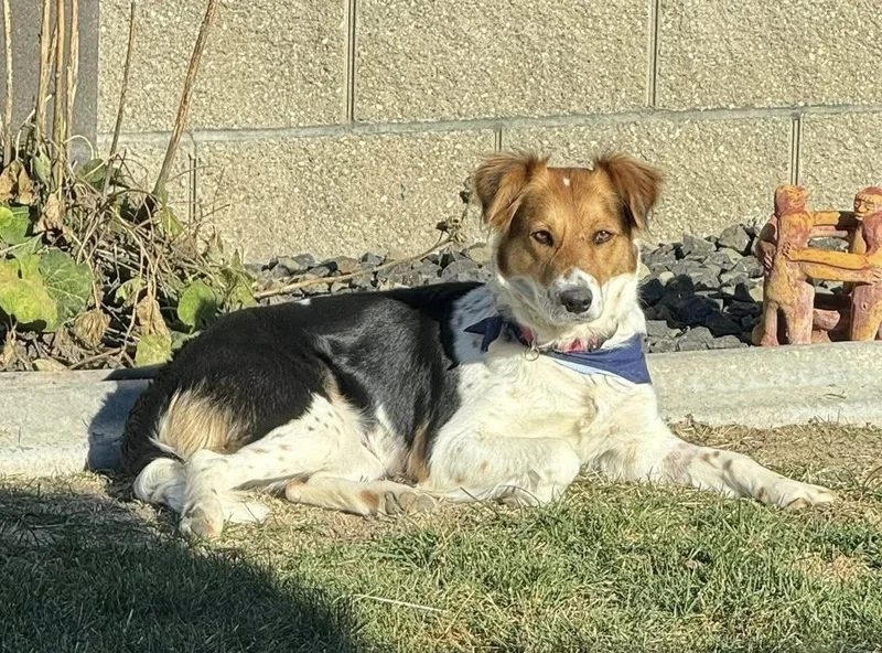 Sagemoor thumbnail 2