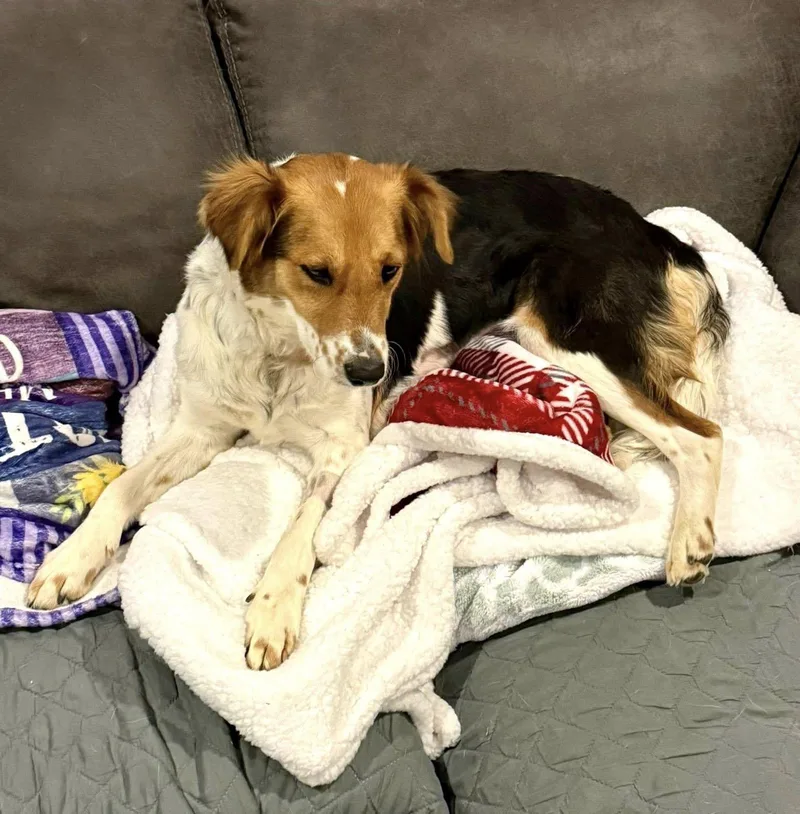 Sagemoor thumbnail 3