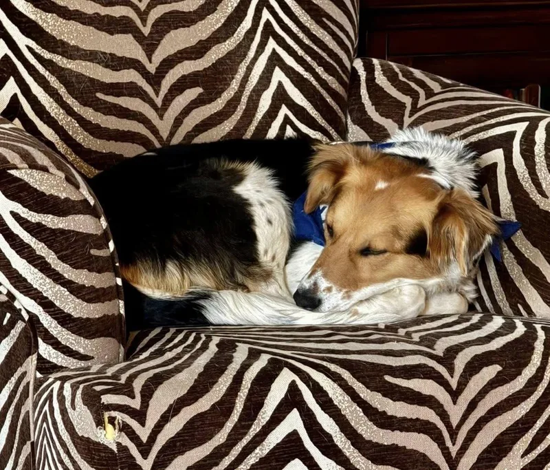 Sagemoor thumbnail 6